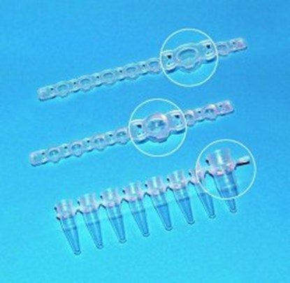 Slika za 8 PCR CAP STRIPS, BLUE