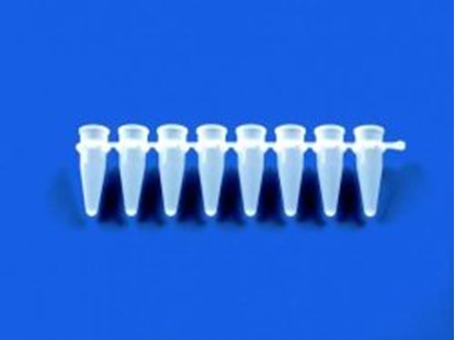 Slika za 8 PCR TUBE STRIPS, 0.2 ML, WHITE