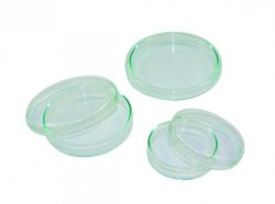 Slika za LLG-PETRI DISH 12X40MM, GLASS