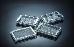 Slika za TISSUE CULTURE PLATES 96-WELL, PS