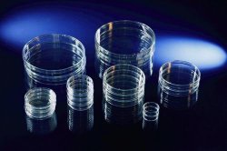 Slika za PETRI DISHES 100 X 15 MM