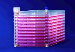 Slika za CELL FACTORY EASYFILL 1-TRAY