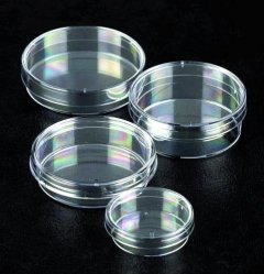 Slika za PETRI DISH 140 MM