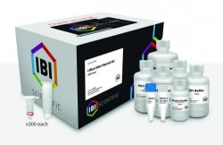 Slika za I-BLUE MINI PLASMID KITS