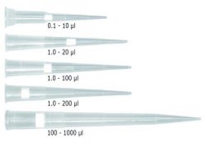 Slika za LLG-Filter tips 2.0 Low Retention, PP