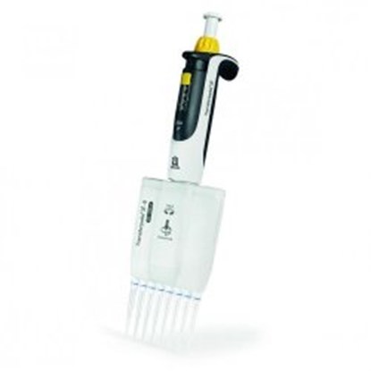 Slika za Multichannel microliter pipettes Transferpette<sup>&reg;</sup> S-8/S-12, variable